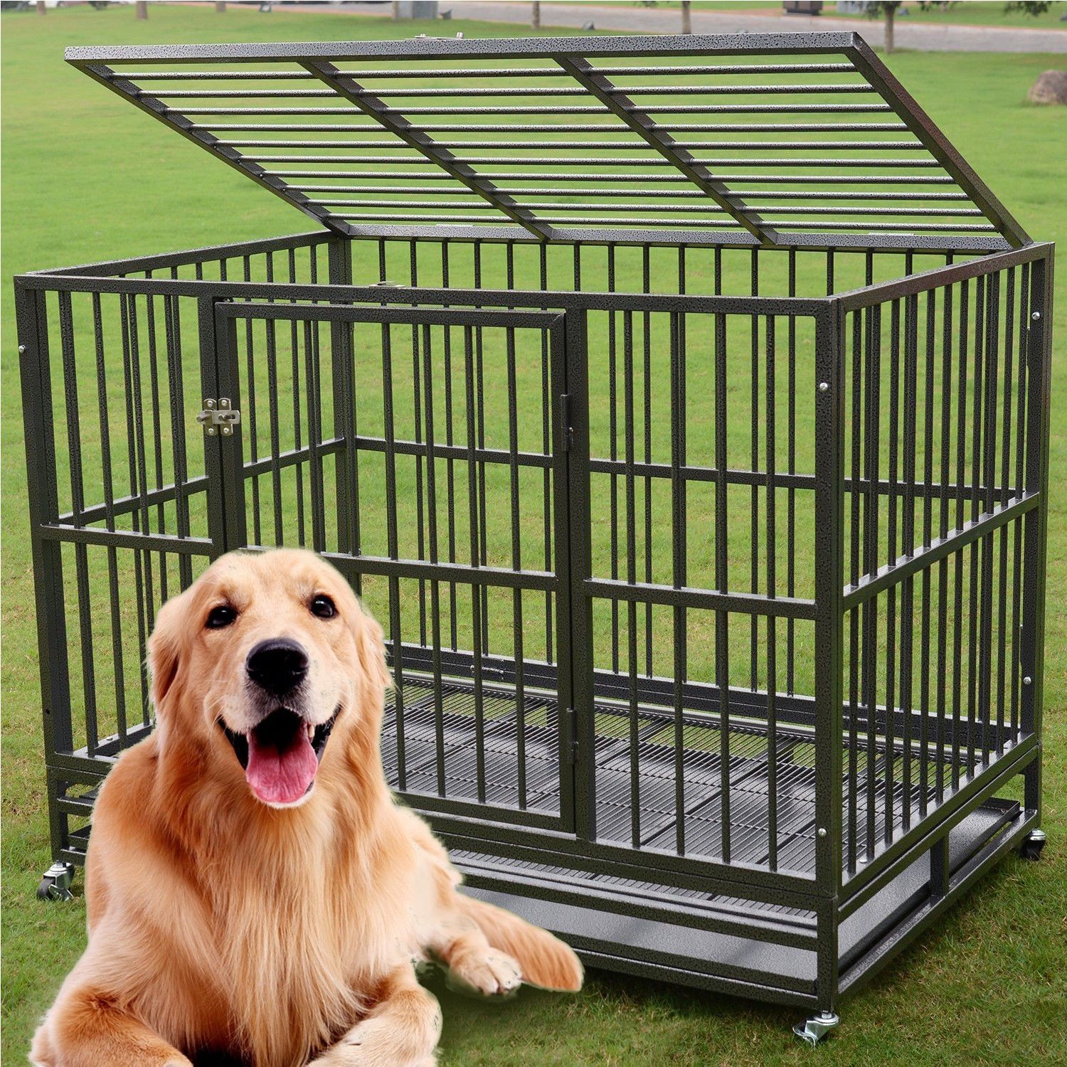Outdoor dog Crate Cage